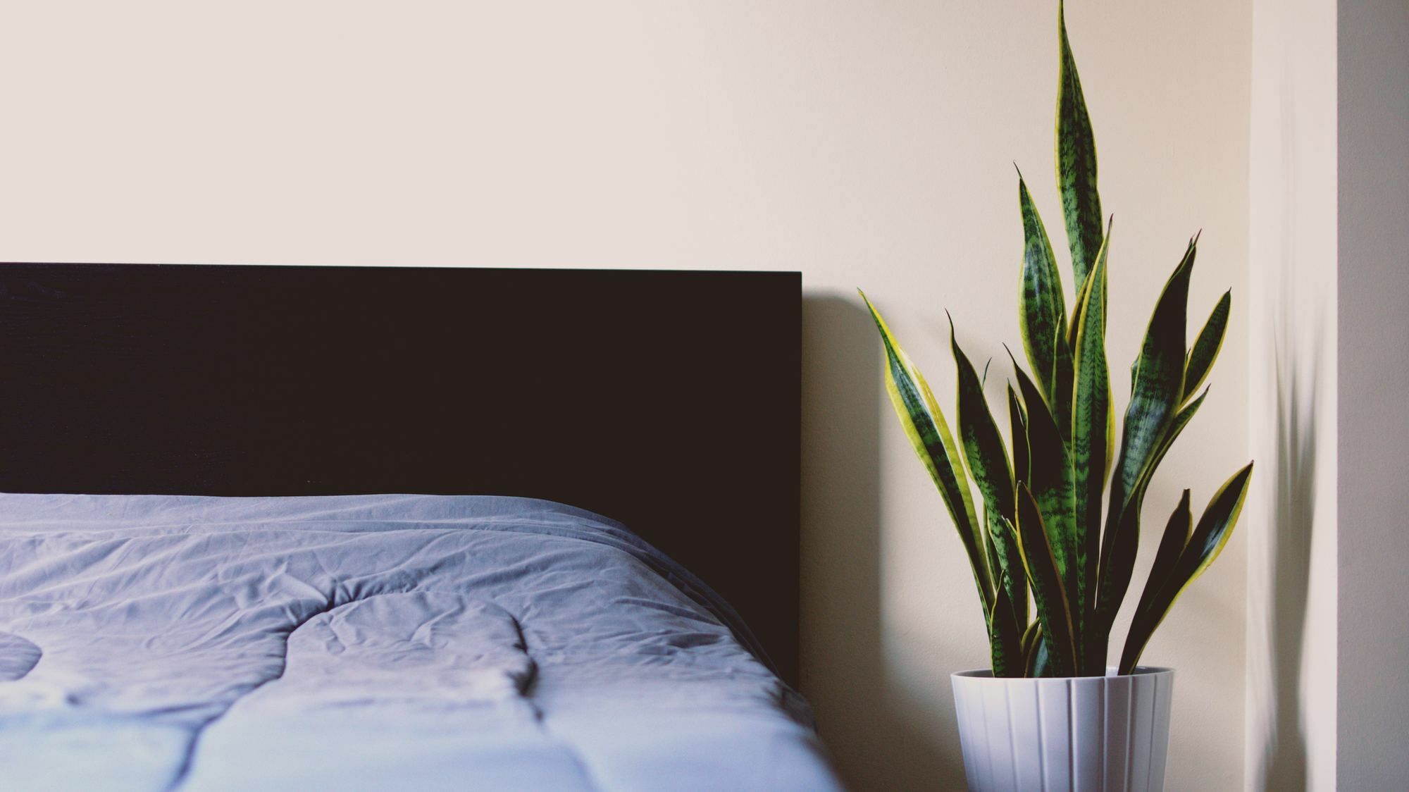 Apartmentel - Masteri Thao Dien Ho Si Minh-város Kültér fotó